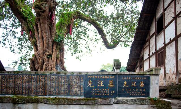 都是过早开发,长大了反而没有什么作为,有的甚至命不长,如甘罗,曹冲