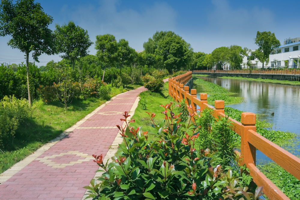 松江这个镇河道治理十组照片前后对比满不满意你来打分