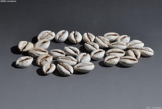 四川大学历史地理研究所所长李勇先告诉我,从三星堆遗址出土的齿贝,与