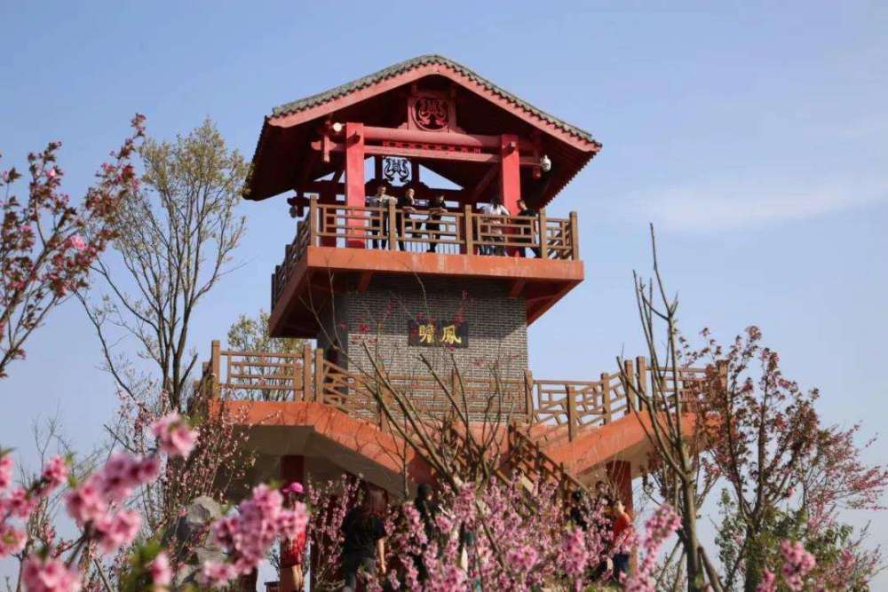 桃树满山坡桃花一朵朵醉恋赏花人风吹花似歌广元桃博园欢迎您