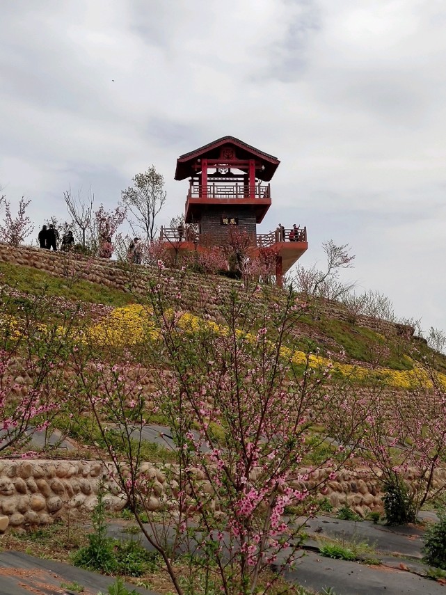 广元桃博园欢迎您!