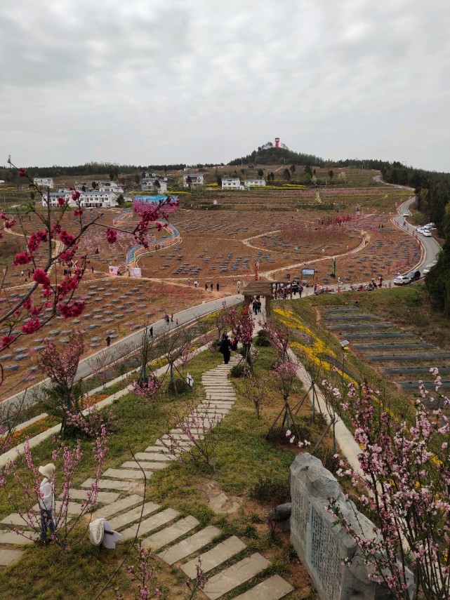 广元桃博园欢迎您!