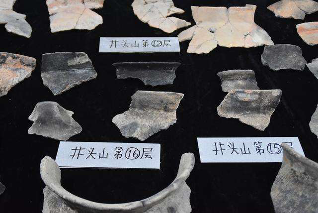 博物馆日报浙江余姚发现8000年前贝丘遗址