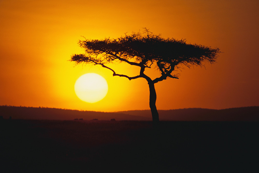 全唐诗|一首堪与唐诗媲美的当代力作：夕阳一点如红豆，已把相思写满天