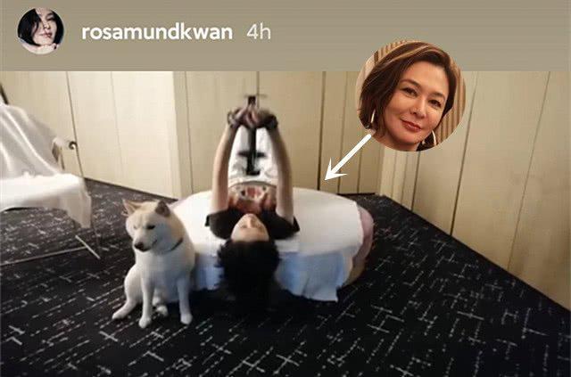 58岁关之琳晒近况，宅家与狗为伴坚持健身，曾说婚姻很麻烦