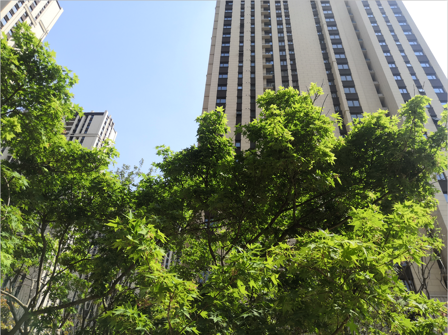 仰望星空筑梦 脚踏实地前行——谦祥集团与美丽中原共"城长"