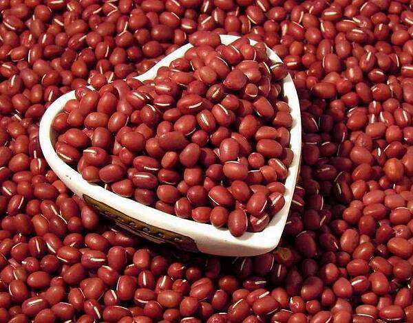 红豆|一颗红豆居然21万元，是对文化的追求？还是病态心理的作祟？