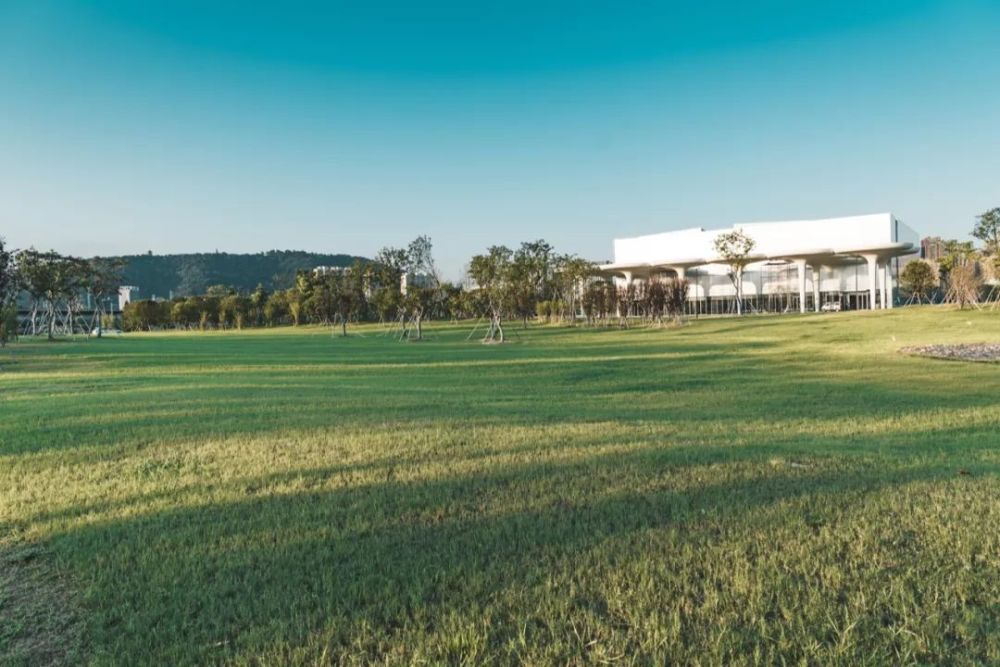 临平绝美体育公园你去打卡了吗