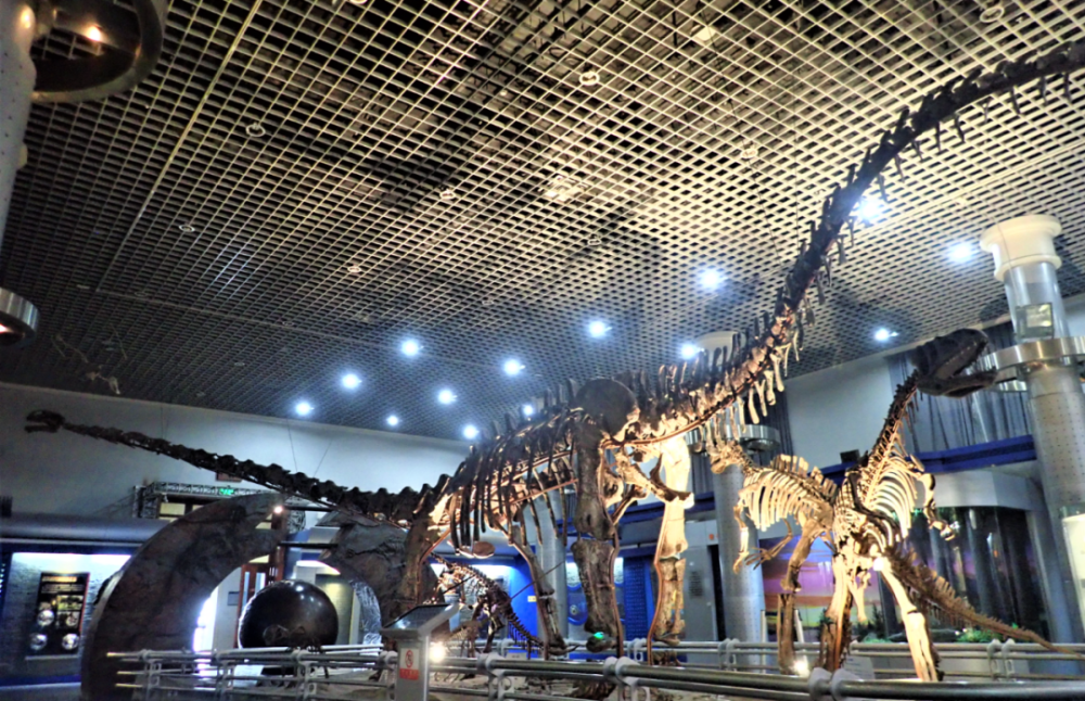 为什么喜爱恐龙的孩子要知道他