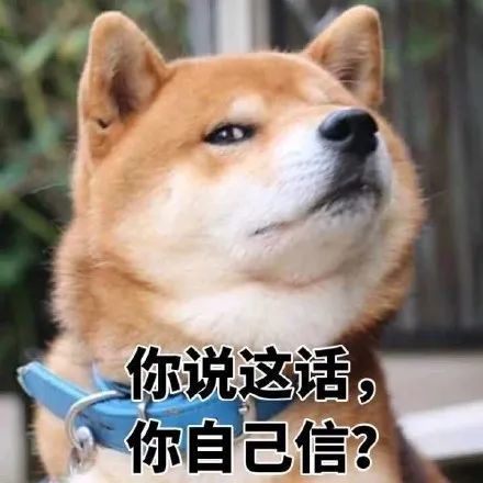 柴犬表情包系列反正隔著手機你也弄不死我