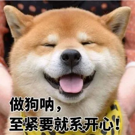 柴犬表情包系列反正隔著手機你也弄不死我