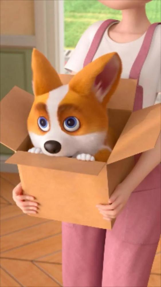 飞狗moco番外篇我的夏天是鸡腿味的