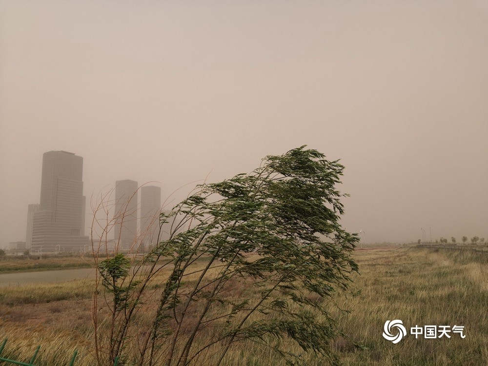 狂风呼啸内蒙古鄂尔多斯尘土弥漫能见度变差