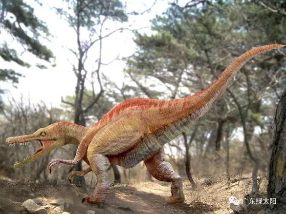 企鹅看世界之春暖花开达人潮州行绿太阳生态旅游度假区