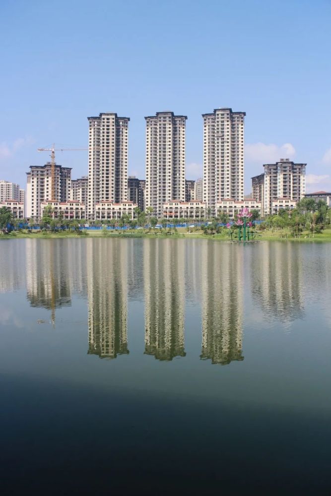 今日德园美景你get到了嘛