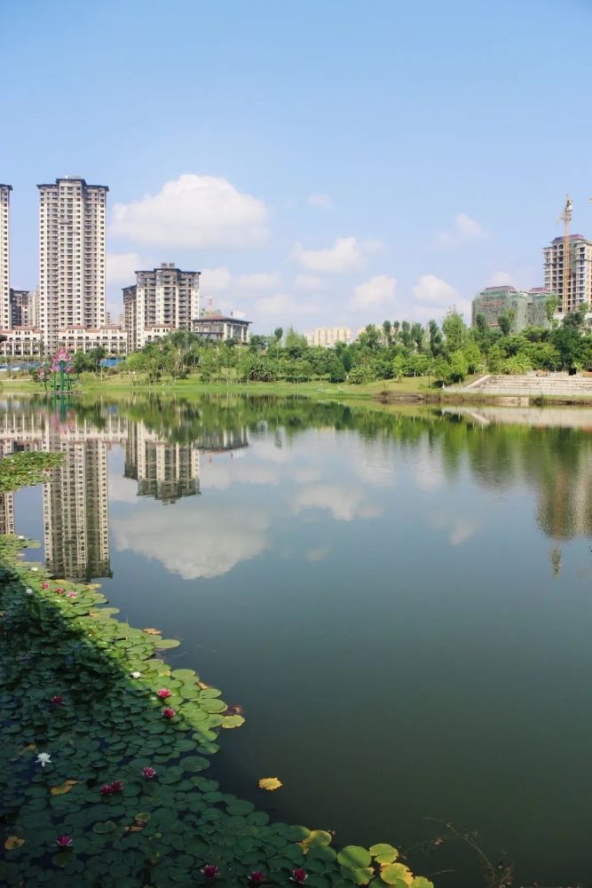 今日德园美景你get到了嘛