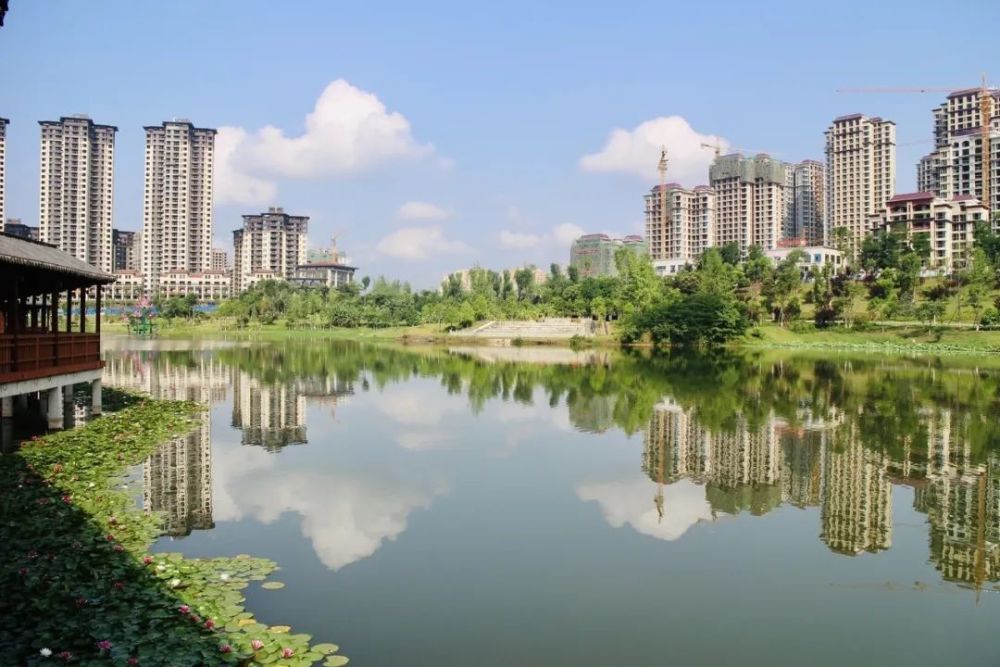 今日德园美景你get到了嘛