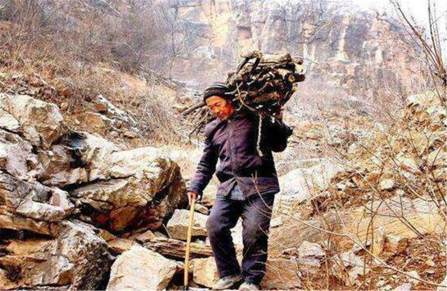 老人砍柴发现藏金洞,从中拉了一车黄金,去银行换钱时却当场被抓