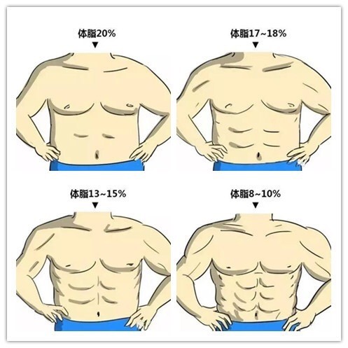 腹肌成型的过程图片