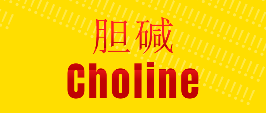 非酒精性脂肪肝|【非酒精性脂肪肝】有了新名字！相应治疗也有了新对策