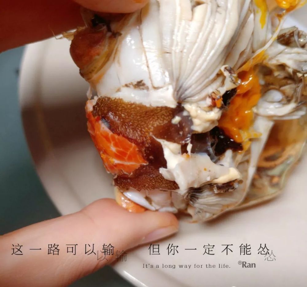 在蟹黄的中心位置,你会看到浅灰色的长六边形,它往往和蟹黄上面覆盖的