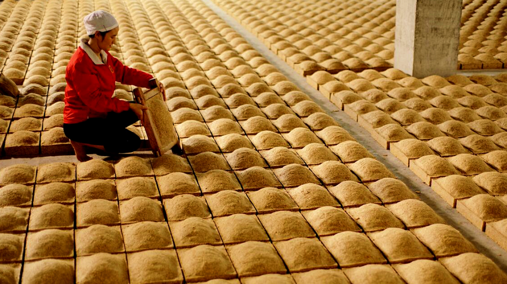 曲为酒之骨,大曲酿酒有温度之分,这些知识你了解多少?_腾讯新闻