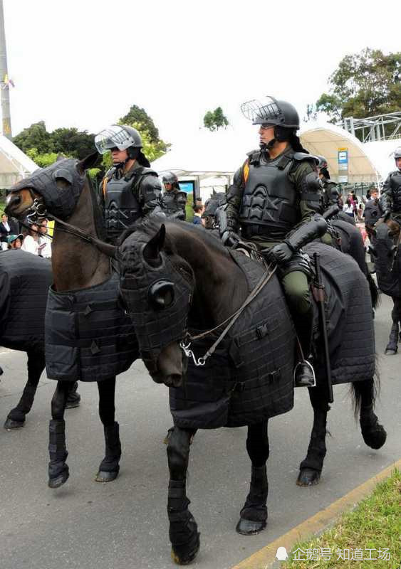 美国街头上演骑马与砍杀 美国重甲骑警出现 重骑冲锋抗议人群 腾讯网