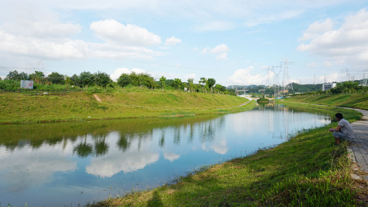 鹅颈水景观提升获赞光明全力争创生态文明建设示范区