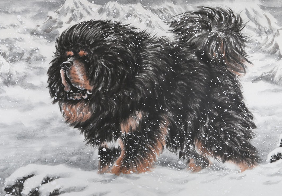 雪獒和藏獒谁更猛 腾讯网