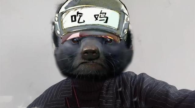 看过突击手蜜獾作品的玩家应该知道,作为某站知名的游戏up主,蜜獾的