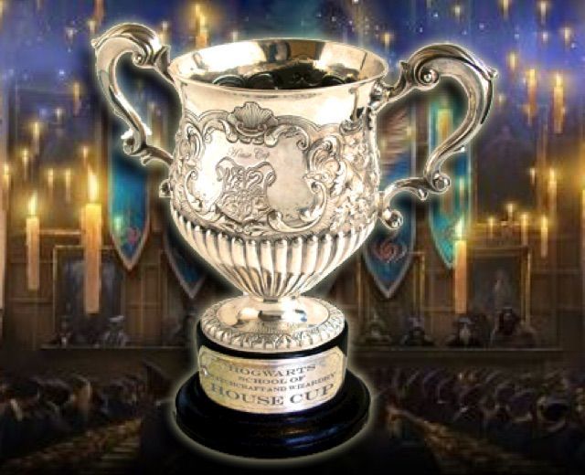 教授在新生入学时,就介绍过学院杯的重要性,"你们在霍格沃茨就读期间