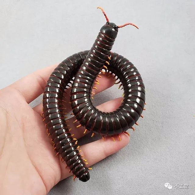 静静蜷缩在你掌心的爬宠粘土雕塑