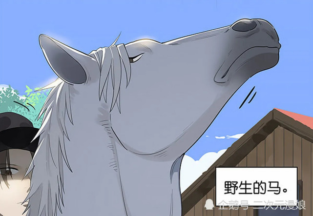 搞笑一刻:两人看上同一匹骏马,可它没那么好驯服,只好显露一把实力