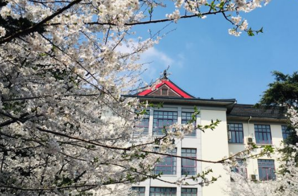 2020牛211大学排名_2020年全国“211”大学排名,浙大“无缘”前五!医学部竟