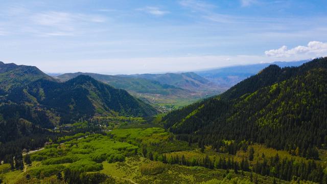 青海人游青海纵情歌舞七大最美林场之一群加林场