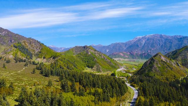 青海人游青海纵情歌舞七大最美林场之一群加林场