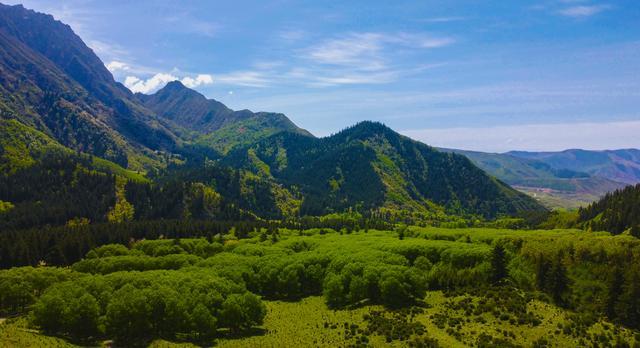 青海人游青海纵情歌舞七大最美林场之一群加林场