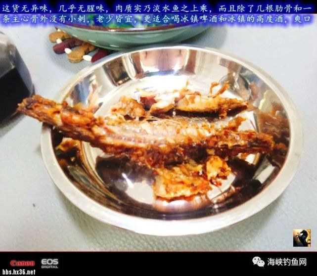 清道夫的简介与吃法