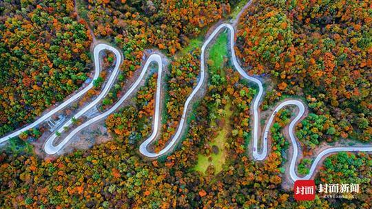 沿着红叶观赏精品路线:"地龙坝——望远山——曾家山森林经营所