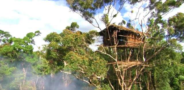 首个被公认的栖树民族 房屋建在几十米的大树上 回家全靠爬 科罗
