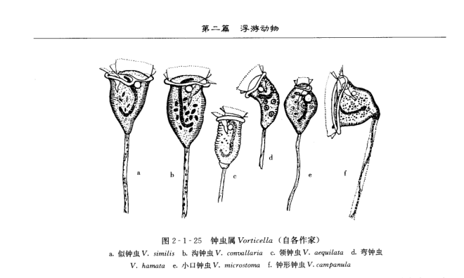 (钟虫属常见的种类)尽管此书不是医学,检验类教科书,而是水产养殖学