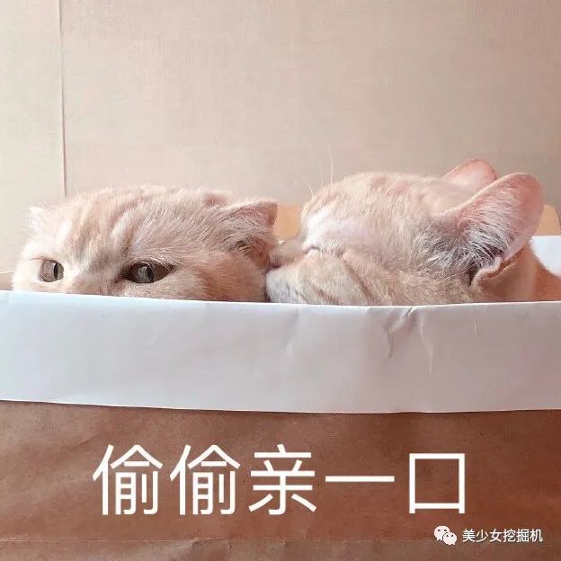 头像表情包大户全网萌宠顶流每天都有百万明星粉丝催更