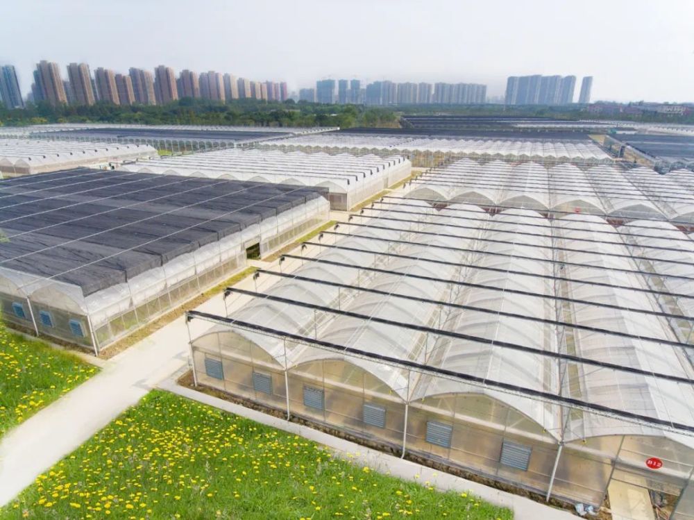 兰里携手杭州低碳科技馆,邀您共赴环保之约_腾讯新闻