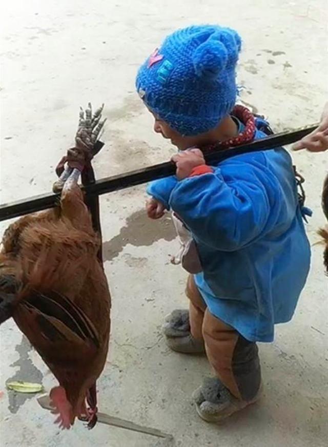 现在的生活越来越好了,孩子回到农村后,被老人带了一段时间,会跟