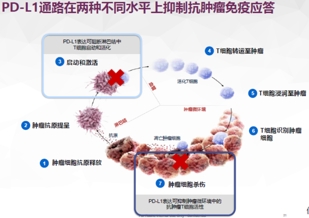 對話楊拴盈教授,聊聊肺癌免疫治療,免疫聯合化療與四藥聯合