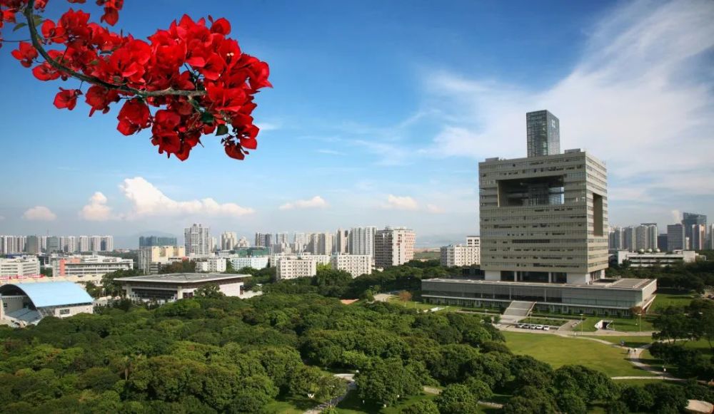 深圳大学2020年夏季普通高考招生章程发布!
