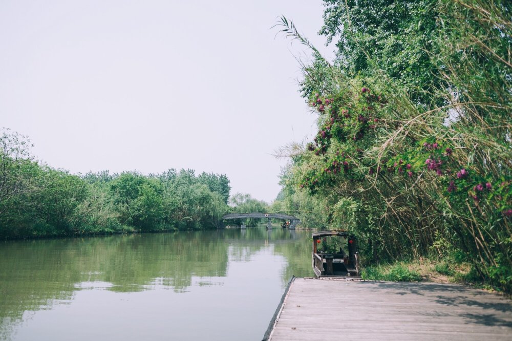 江蘇被遺忘的5a景區溱湖國家溼地公園風景秀美知道的人卻不多