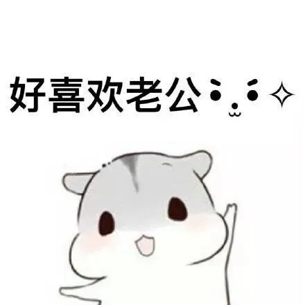 仓鼠表情包:老婆撒娇版