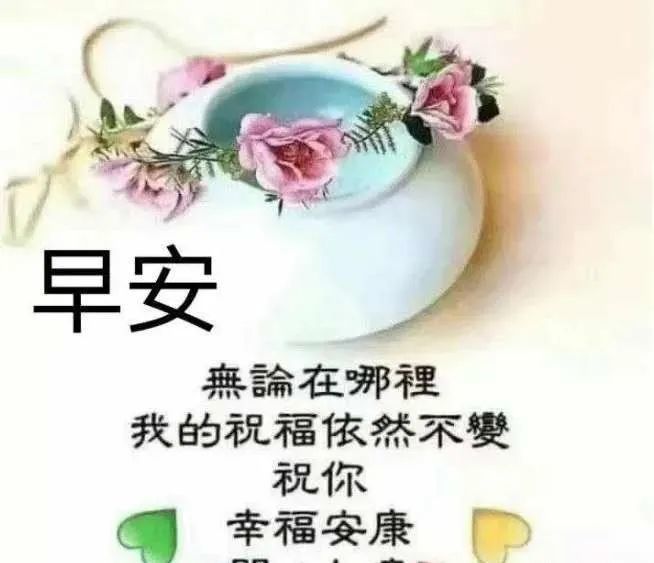 週末早上好暖心祝福問候表情帶字 很美的早晨鮮花圖片