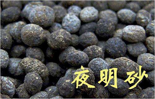 找一味中药诋毁一下:夜明砂,你就是坨翔!